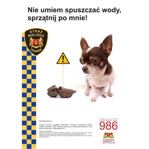 Posprzątaj po swoim psie