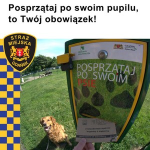 Posprzątaj po swoim pupilu