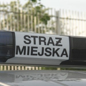 Pijany za kierownicą