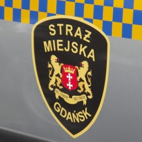 Przystanek we wiacie śmietnikowej