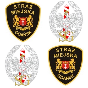 Wspólne patrole Straży