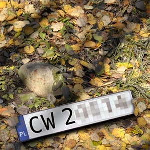 Nielegalna podmiana tablic