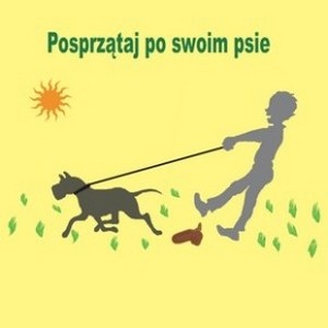 Pupil na północy!