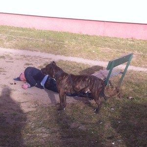 Służby w akcji, a on tylko się zdrzemnął…