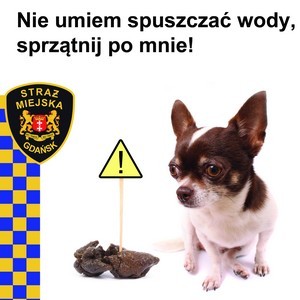 Pies brudzi? Trzeba sprzątać!