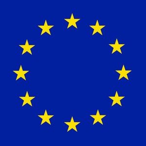 Straż Miejska zabezpieczy wybory do Parlamentu Europejskiego