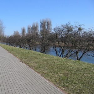 Wiosna, czyli czyściej