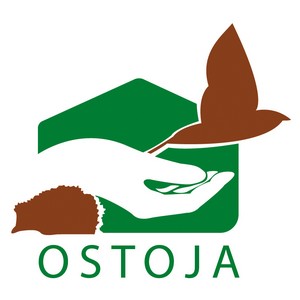 Jeśli znalazłeś rannego ptaka, jeża lub wiewiórkę…