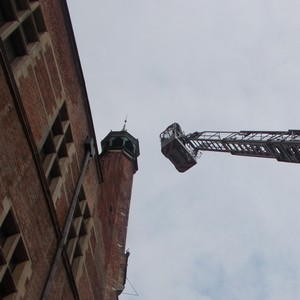 Ewakuacja kaczej rodziny - sprawna akcja na gdańskim ratuszu