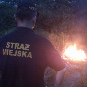 Płonęły trawy, mogło być niebezpiecznie