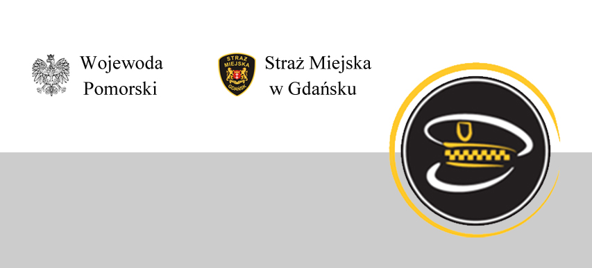 Standaryzacja straży miejskiej
