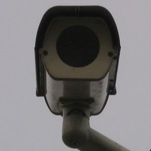 Uciekł wprost pod oko kamer