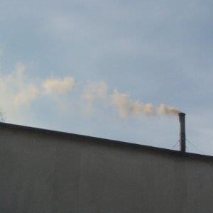 Osowa pod lupą strażników