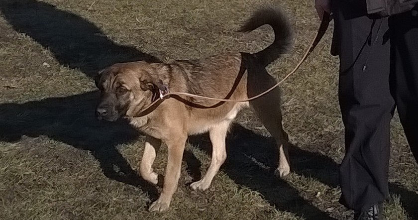 Z tunelu do schroniska