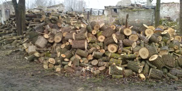 Wycinka przy ul. Świbnieńskiej