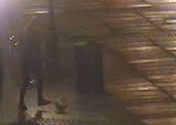 Niezwykle kosztowne bombki