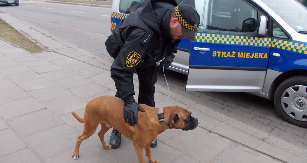 Nie mógł znaleźć drogi do domu