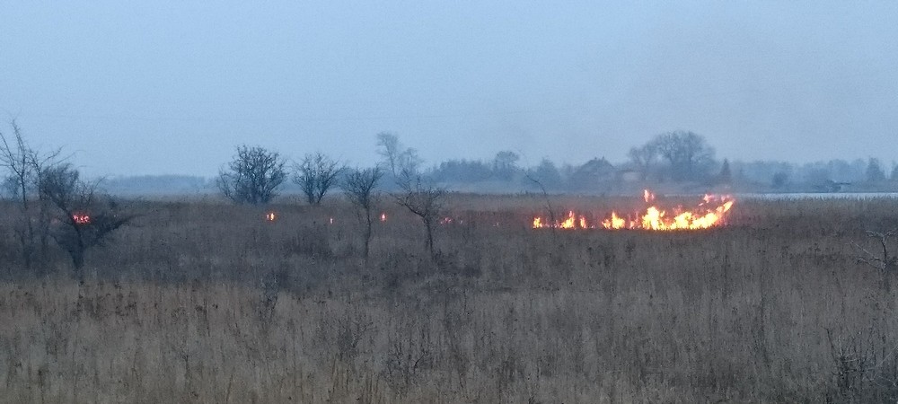 Łąki w płomieniach