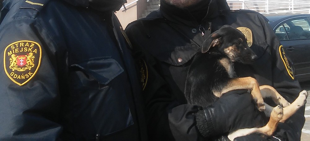 Miała dość, uciekła od swego pana