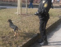Miała dość, uciekła od swego pana