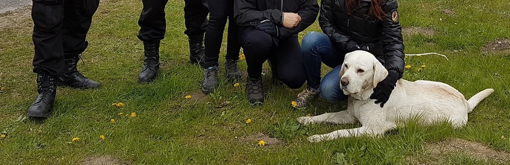 Zabrakło dla nich miejsca w domu?