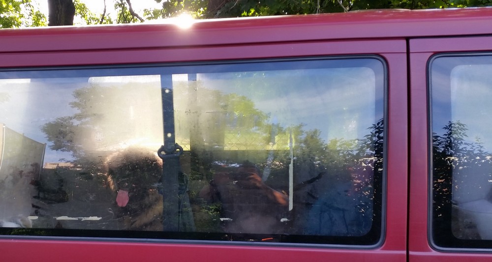 Pies, auto, upał…