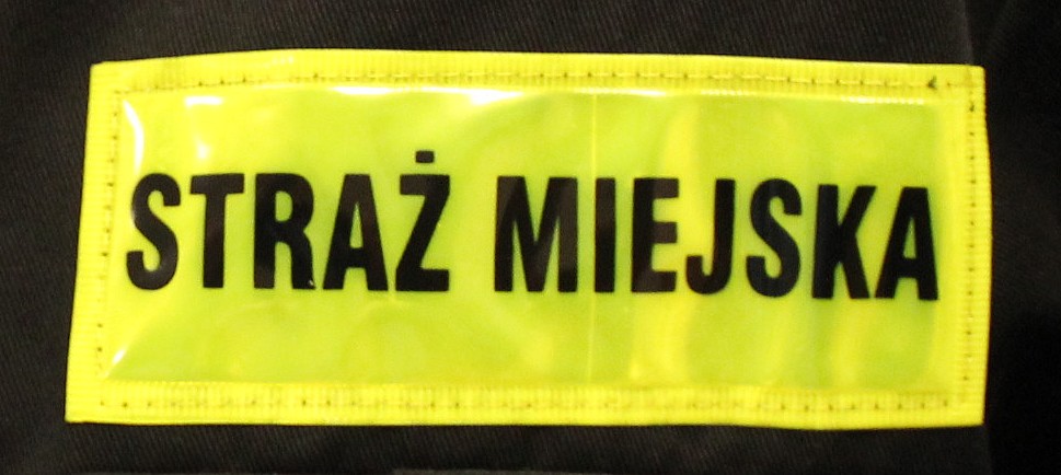 Nie dała złodziejom szans