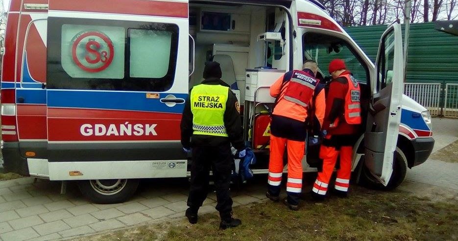 W kamiennym kręgu