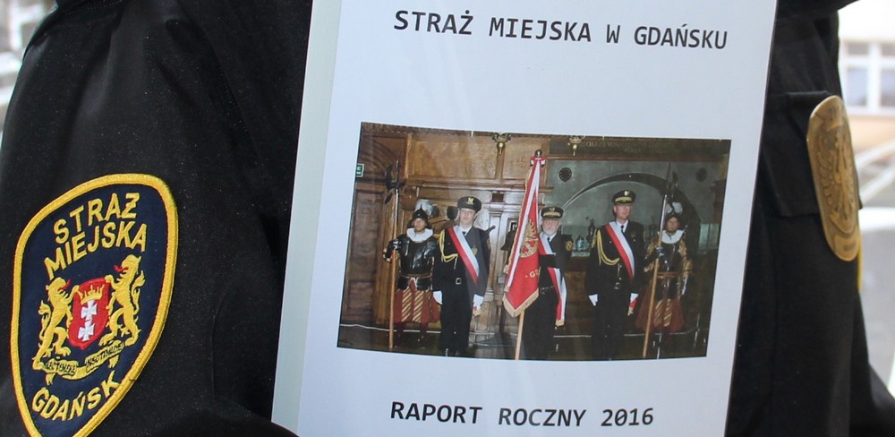 Raport roczny 2016