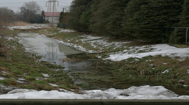 Oszczędność na koszt środowiska