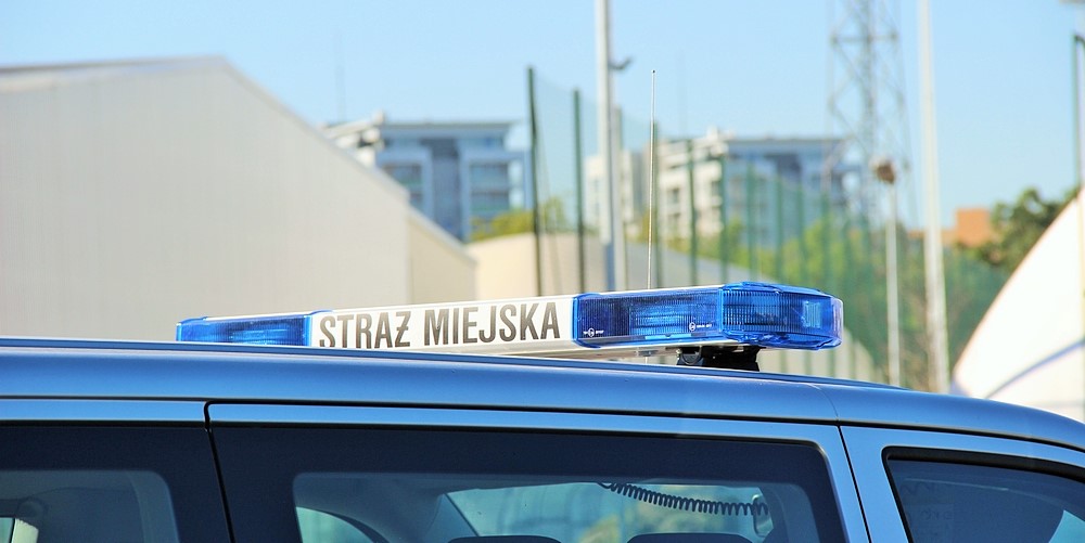 Nauka poszła w las