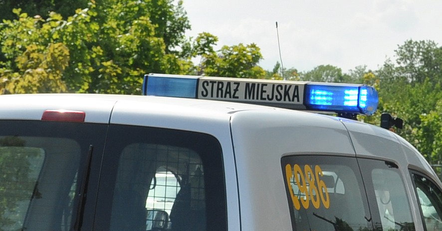 Kumpel kumplowi złodziejem