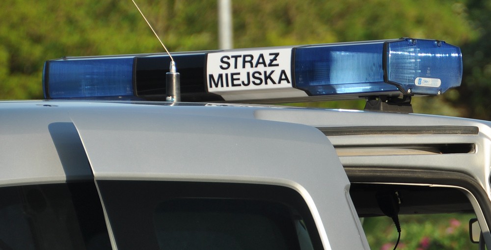 Mały koziołek sam w dużym mieście