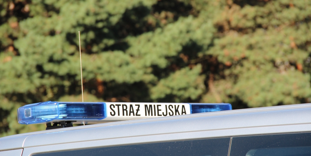 Porzucony plecak w lesie