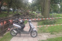 Uszkodzone gałęzie, a pod nimi chodnik