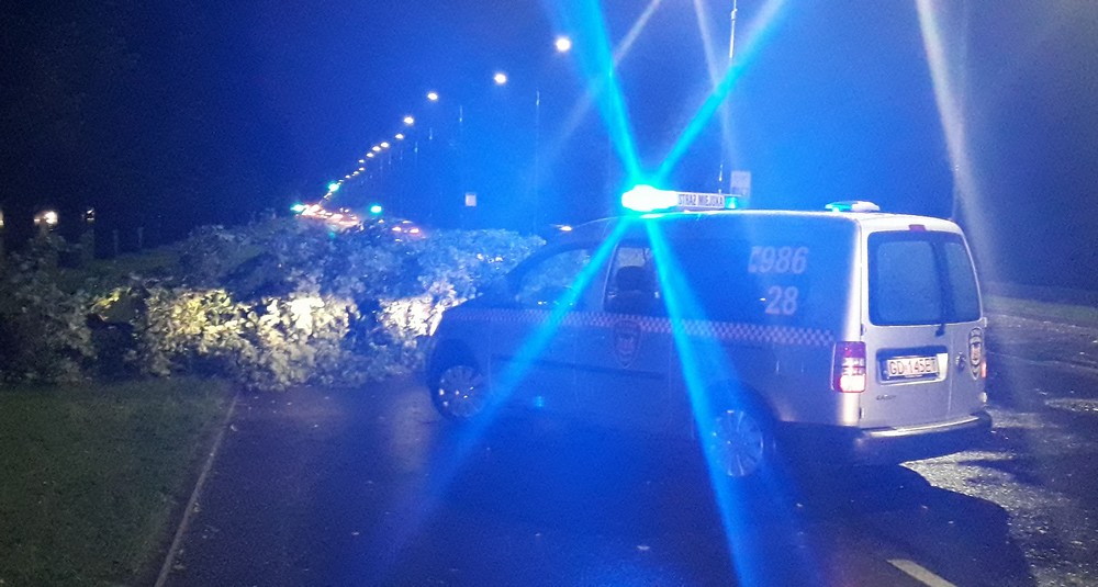 Drzewa na jezdni po gwałtownej burzy