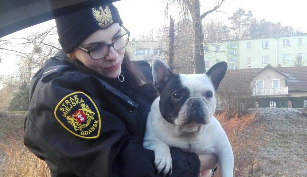 Duży kłopot małego czworonoga
