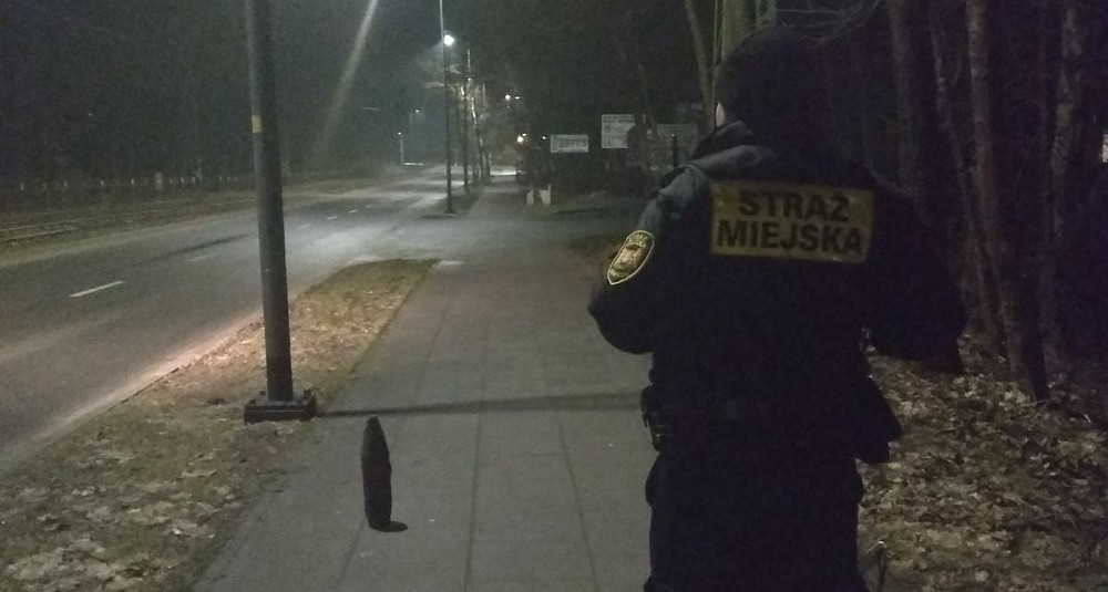 Niewybuch na chodniku