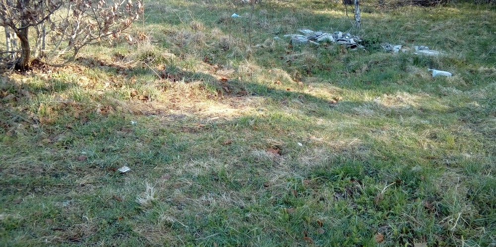 Zabrakło miejsca w śmietniku?