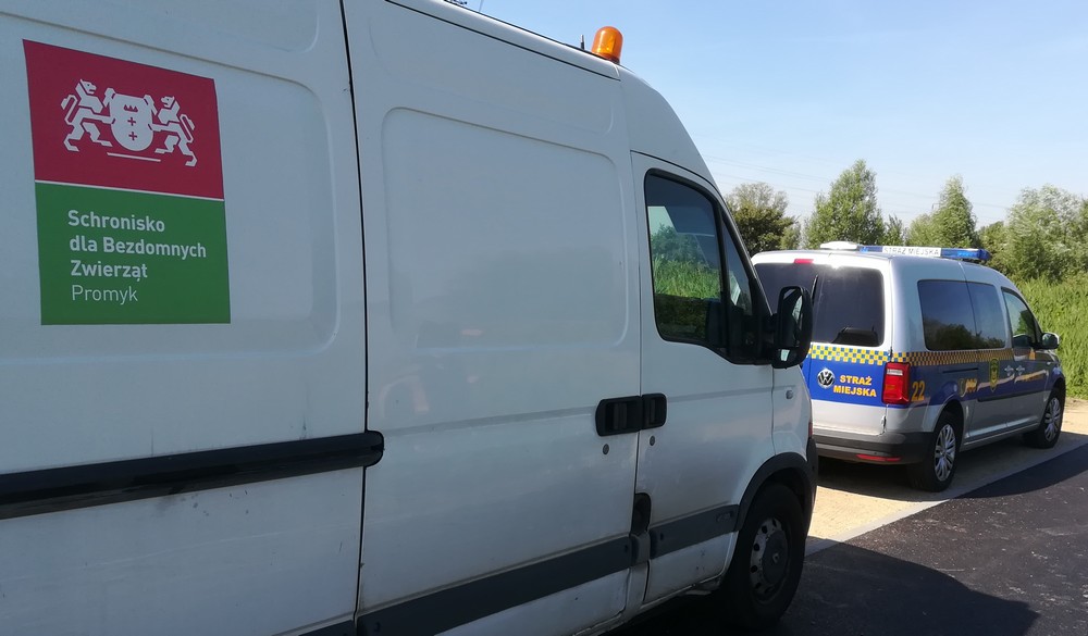 Serca nie brakowało, szwankował nadzór