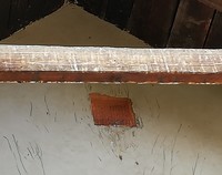 Gołębie w pułapce
