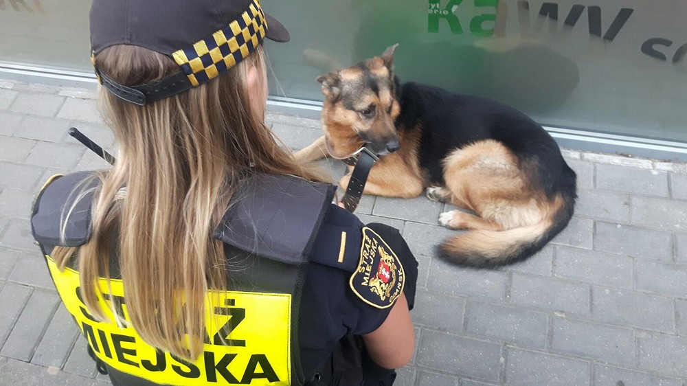 On kogoś szukał, ktoś szuka jego?