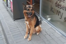 On kogoś szukał, ktoś szuka jego?