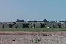 Strażnicy na zlocie harcerzy