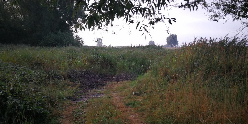 Śmieci nad rzeką, na nich nazwisko i adres