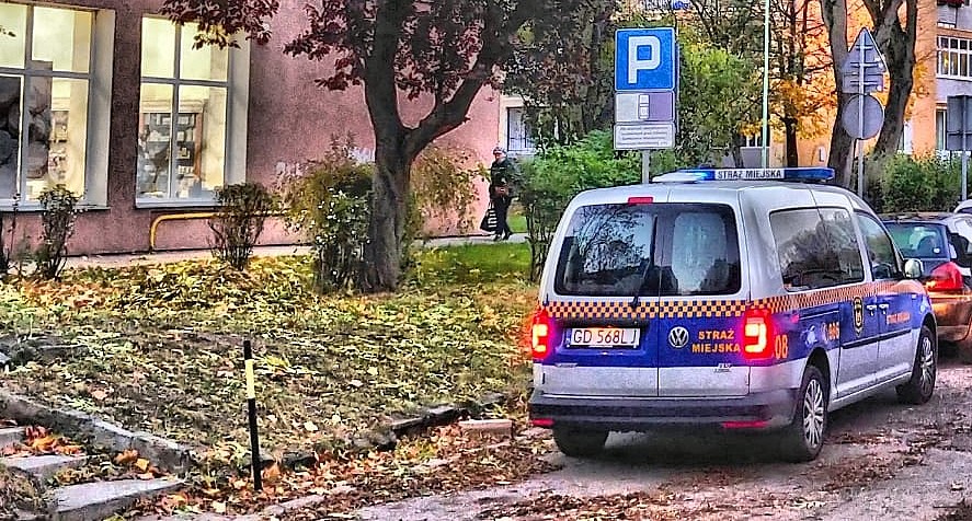 Jeden kierowca, cztery mandaty