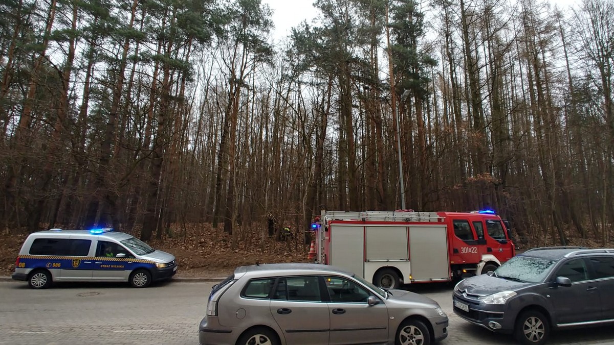 Zagrożenie nad głowami spacerowiczów