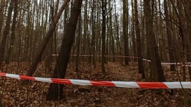 Zagrożenie nad głowami spacerowiczów