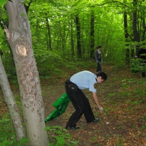 Podczas sprzątania lasu