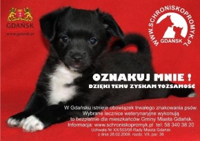 Oznakuj mnie! Dzięki temu zyskam tożsamość.